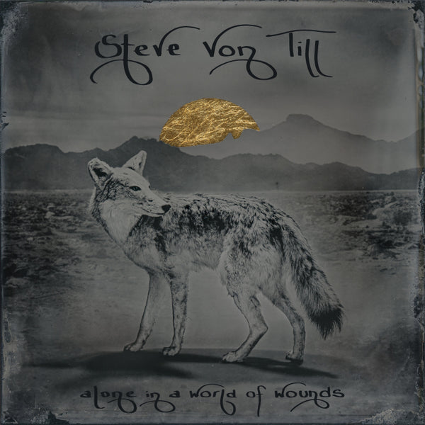 Von Till, Steve - Alone In A World Of Wounds