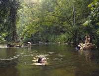 Girl Pictures by Justine Kurland