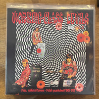 V/A - Working Class Devils: Fuzz, Vodka & Flowers