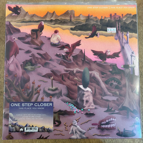 One Step Closer - This Place You Know