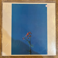 Newsom, Joanna & The YS Street Band - S/T EP