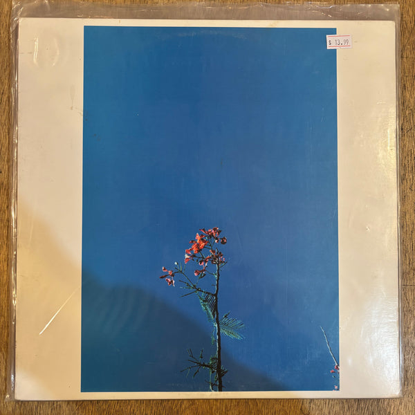 Newsom, Joanna & The YS Street Band - S/T EP