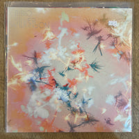 Bibio - Silver Wilkinson