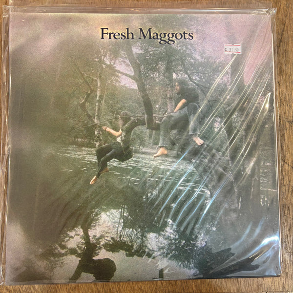 Fresh Maggots - Hatched