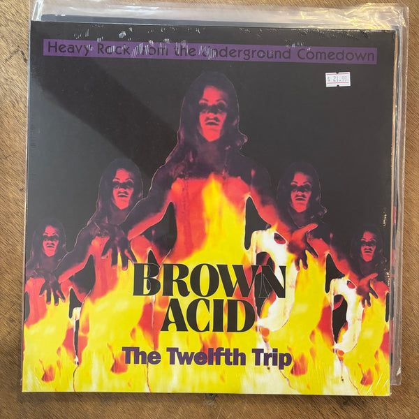 V/A - Brown Acid: The Twelfth Trip (Compilation)