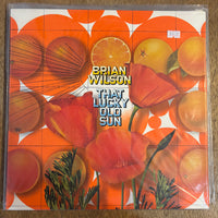Wilson, Brian - That Lucky Old Sun