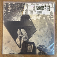 Swell Maps - Mayday Signals