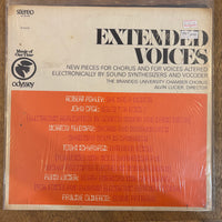 V/A - Extended Voices