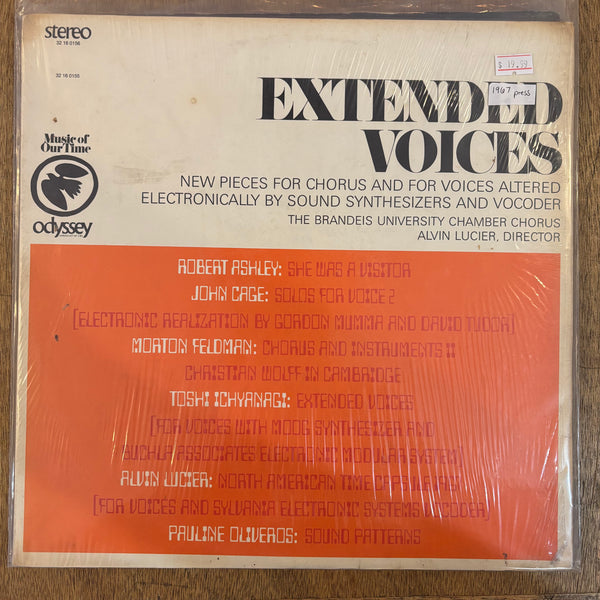 V/A - Extended Voices