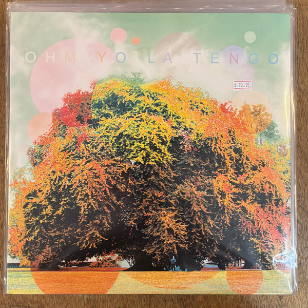 Yo La Tengo - Ohm (Fade version)