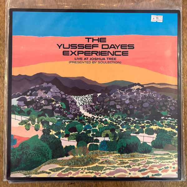 Yussef Dayes Experience, The - Live At Joshua Tree