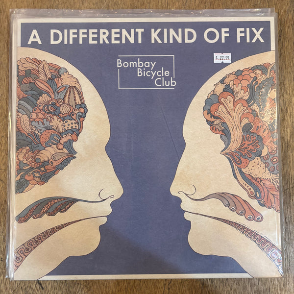 Bombay Bicycle Club - A Different Kind Of Fix