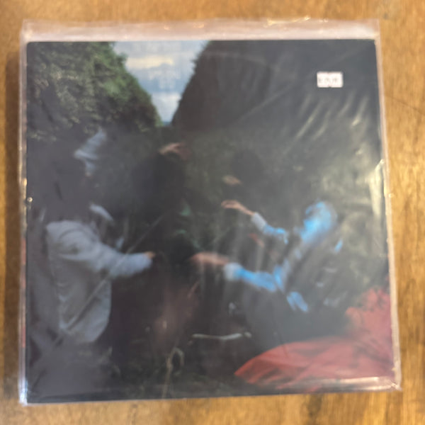 Soft Boys, The - Invisible Hits