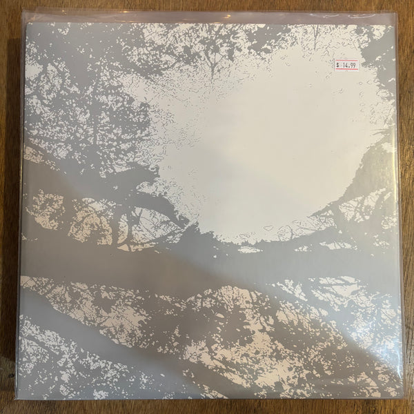 Comets On Fire - Field Recordings From The Sun