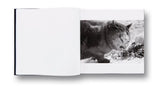 Ravens by Masahisa Fukase