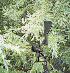 Lust Online - Go Outside