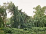 Kudzu by Sabine Bungert & Stefan Dolfen