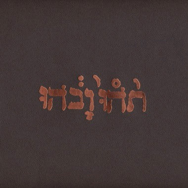 Godspeed You! Black Emperor - Slow Riot For New Zero Kanada