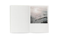 To the Light of My Roots by Yuka Iwahashi