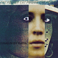 Cat Power - What Would The Community Think
