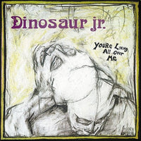 Dinosaur Jr. - You're Living All Over Me