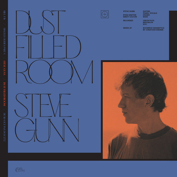 Fay, Bill & Steve Gunn - Dust Filled Room (7")