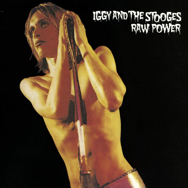 Iggy & the Stooges - Raw Power